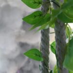 Best Moon theme celebration in Ahmedabad